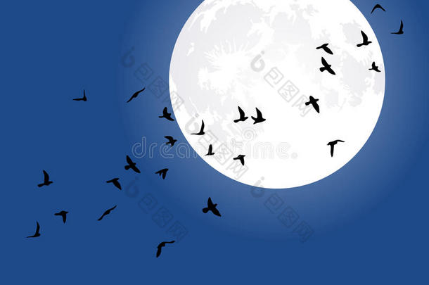 满月与飞鸟