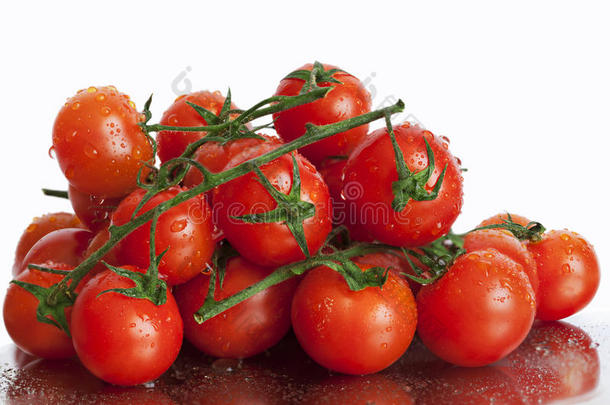 桁架西红柿