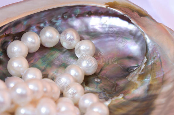 珍珠层和白珍珠