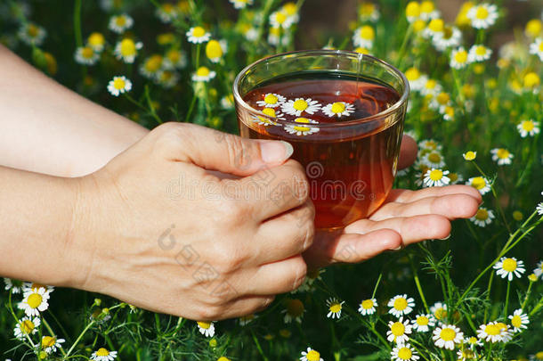 手拿一杯<strong>花草茶</strong>和洋甘<strong>菊</strong>