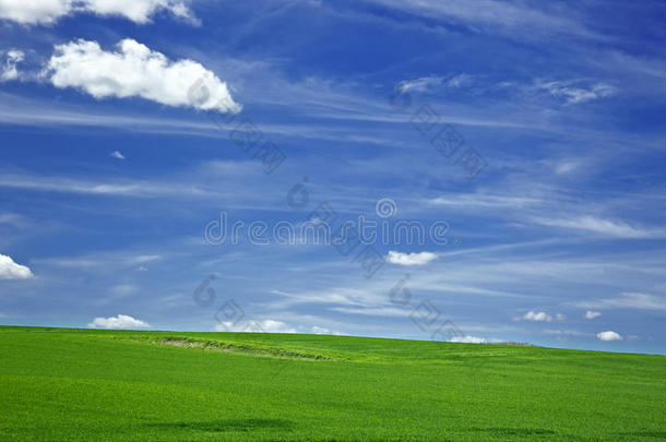 天空和草原