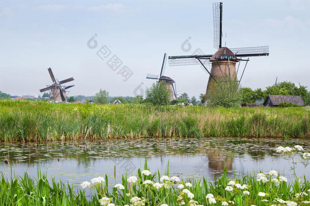 荷兰乡村风景，春天有风车
