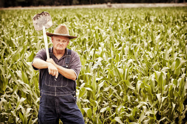 玉米地里的老农夫