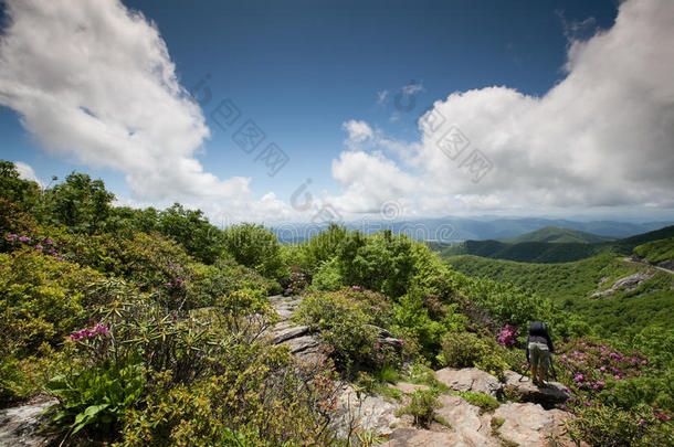 崎岖的花园，巅峰西部NC山