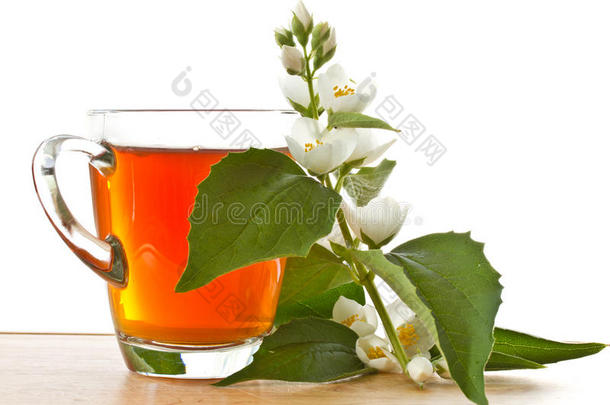 <strong>茉莉花茶</strong>