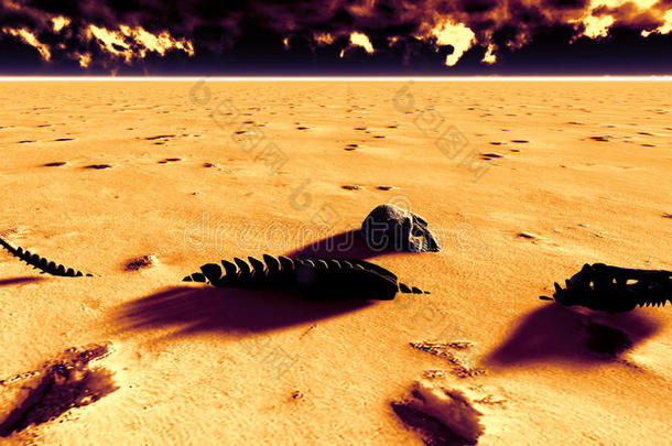 躺在沙漠里的恐龙骨头