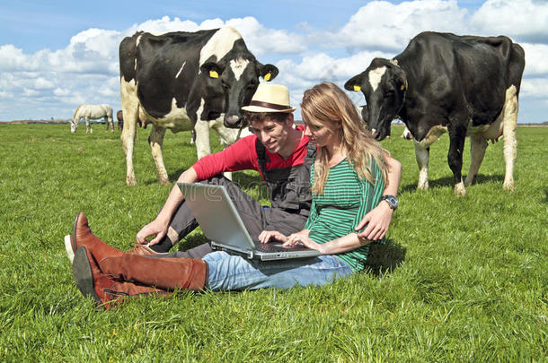 一对年轻夫妇<strong>两头</strong>母牛之间拿着笔记本电脑