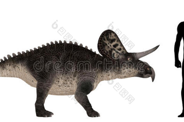 zuniceratops<strong>大小比较</strong>