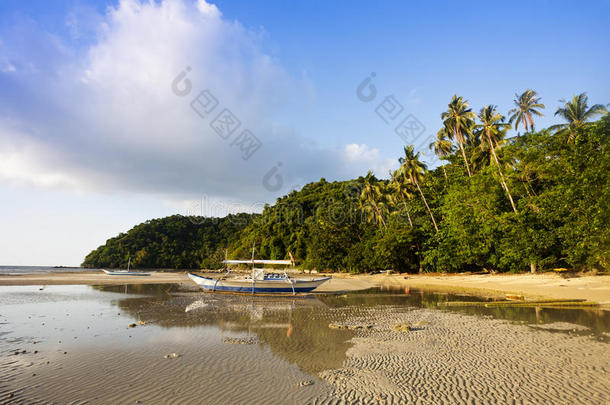 退潮海岸景观