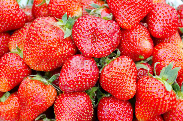 新鲜草莓作为自然背景
