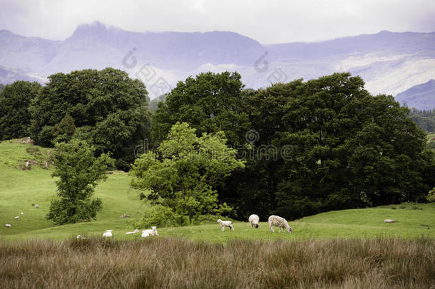 英国风景