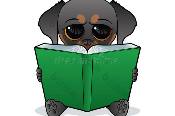 狗读绿皮书