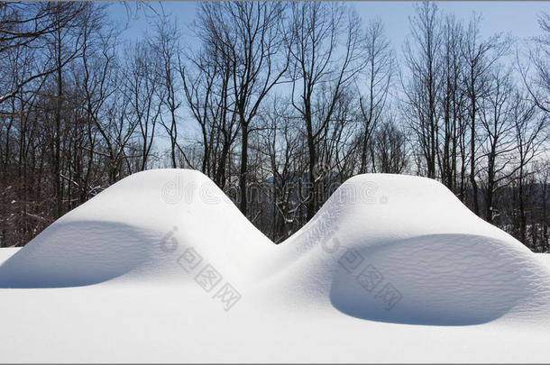雪灾后两辆车在雪地里