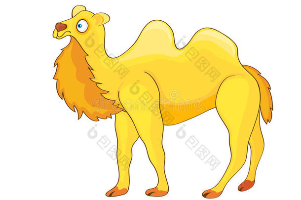 <strong>黄色卡</strong>通骆驼。