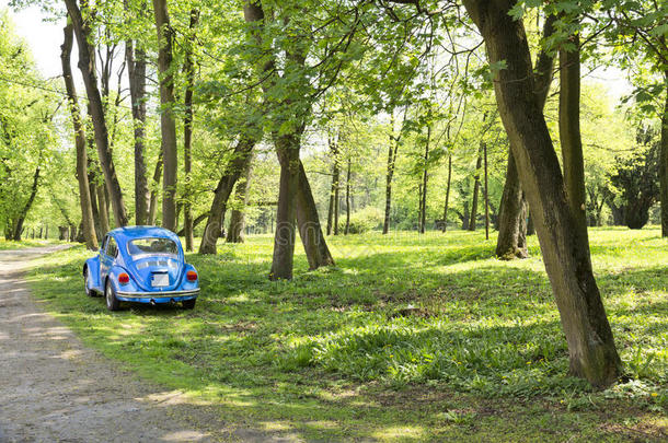 春天公园的蓝色汽车。