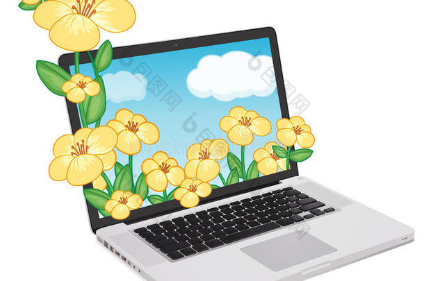 笔记本电脑和鲜花