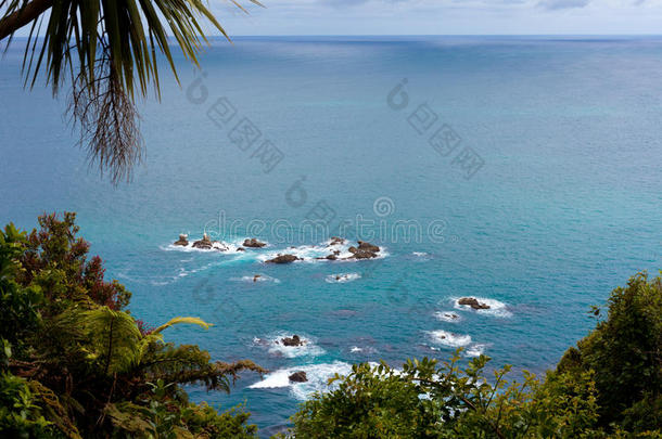 新西兰南岛西海岸的塔斯曼海