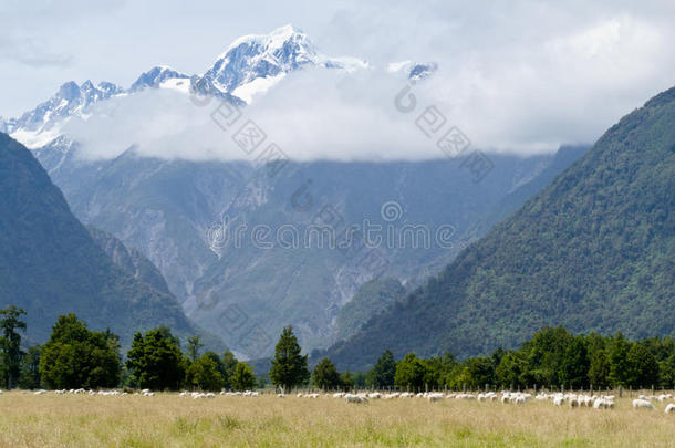 新西兰南阿尔卑斯山库克山最高峰奥拉基