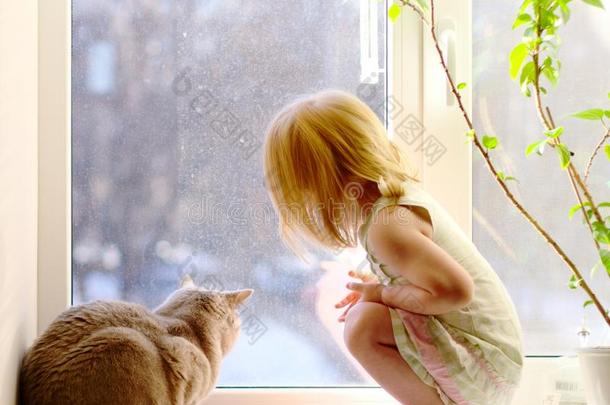 女孩和猫向窗外望去