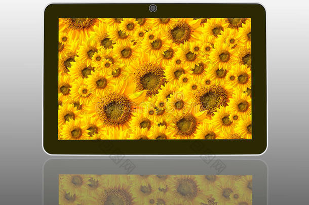 平板电脑里的太阳花