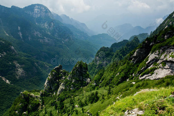 秦岭鹿角岭