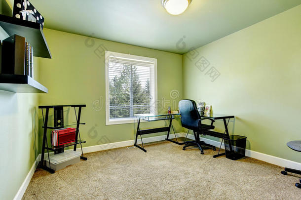 绿色家庭办公室，带米色地毯