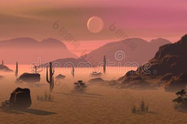 沙漠里的早晨