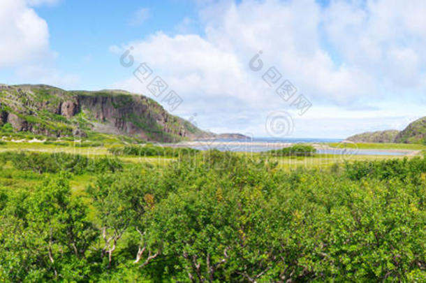 极地夏季冻土带景观