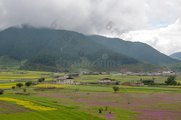 香格里拉<strong>藏族</strong>景观