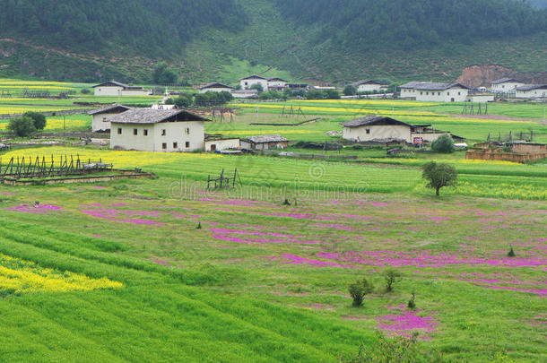 香格里拉藏族景观