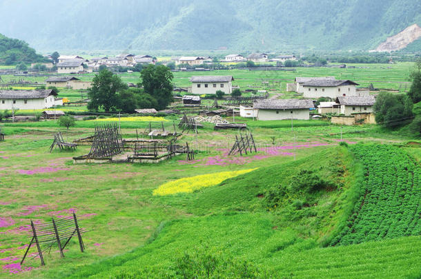 香格里拉藏族景观