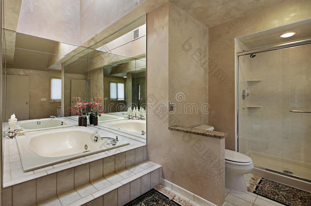 带镜子浴缸的主浴室