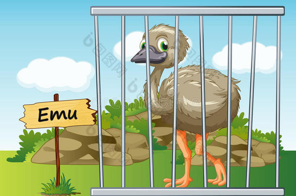 在笼子里的EMU