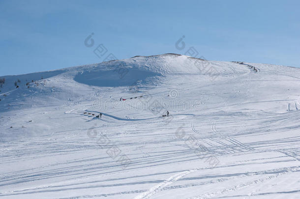 阿尔卑斯山的雪橇比赛。<strong>一直</strong>在上坡