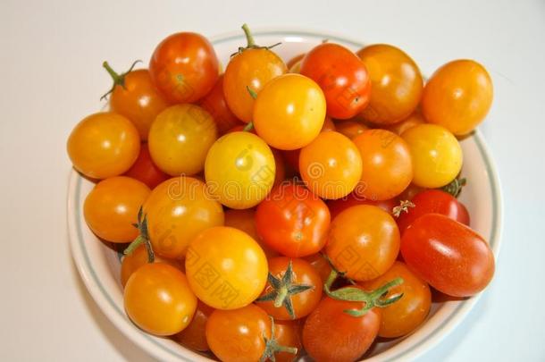 鲜红色和黄色的樱桃西红柿