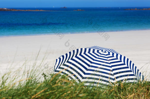 夏日海滩的遮阳伞