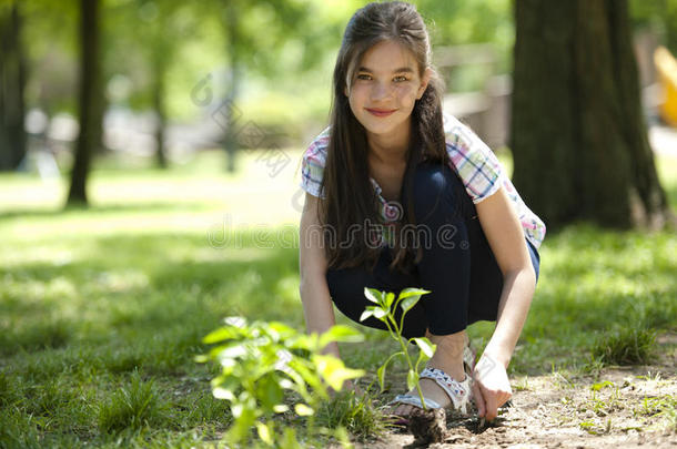 小女孩种树