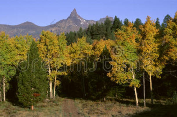 领航山