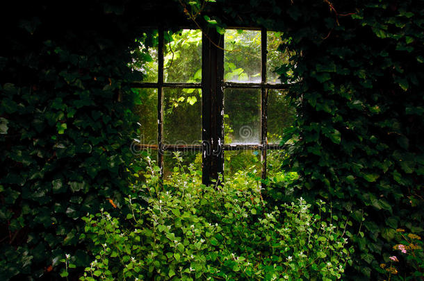 花园窗户