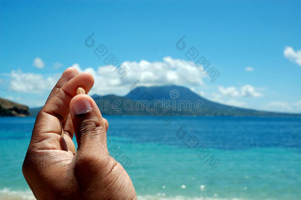 海边/海边/海滩/热带的贝壳