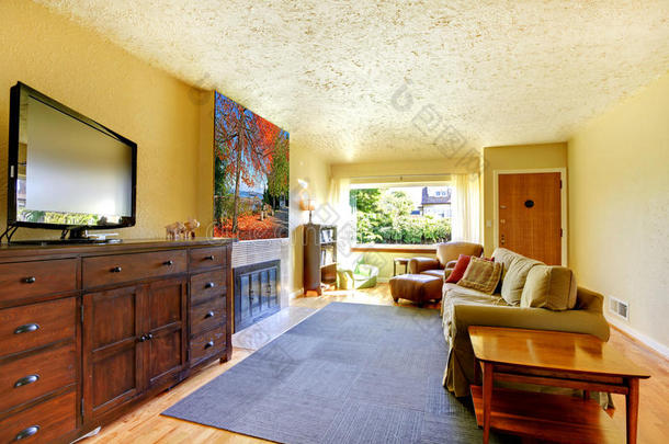 客厅配有灰色地毯、黄色墙壁和大梳妆台上的电视。