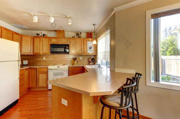 带有硬木地板的简易标准美式木制厨房。