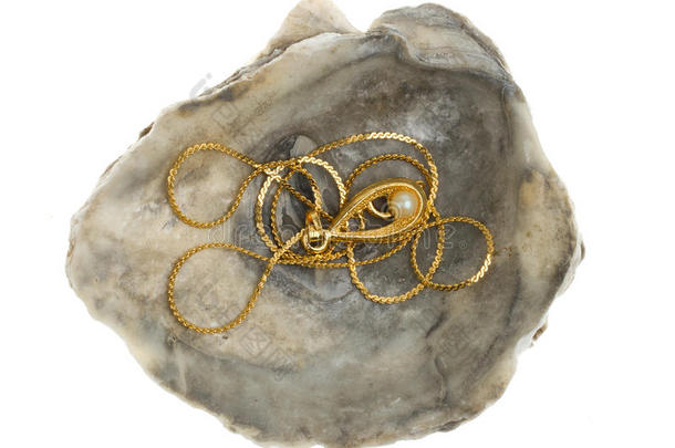 金项链，珍珠在牡蛎壳里
