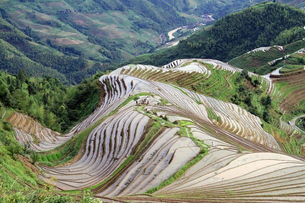 龙胜梯田