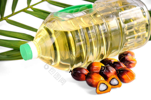 新鲜棕榈油种子和带叶食用油