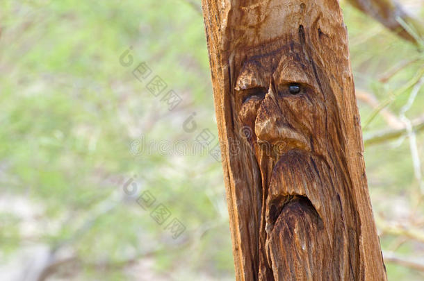 雕刻的木制原木人的脸