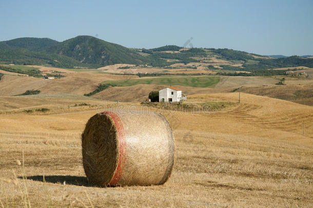 托斯卡纳农村的一捆干草