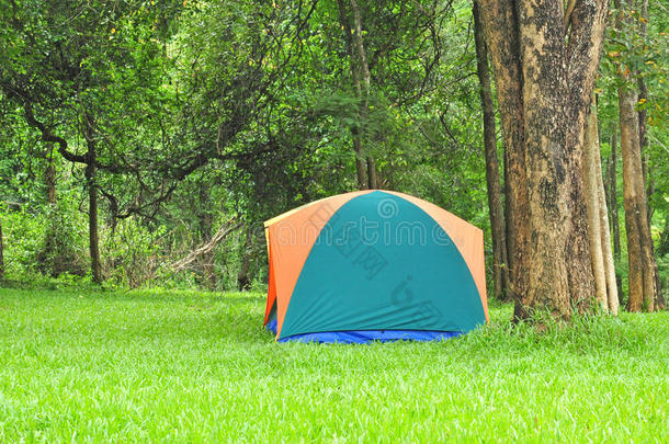 户外帐篷，森林露营地