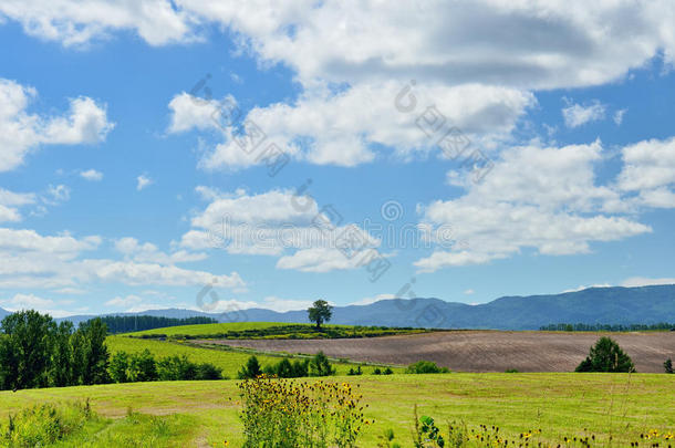 <strong>北海道</strong>碧伊的广阔景观。