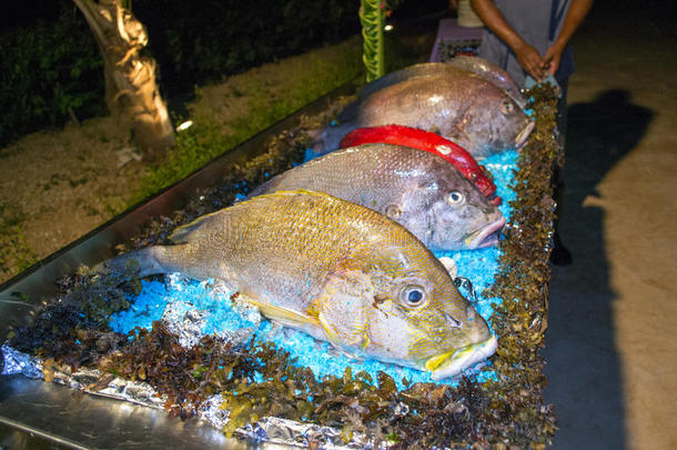 肯尼亚向游客提供非洲美食